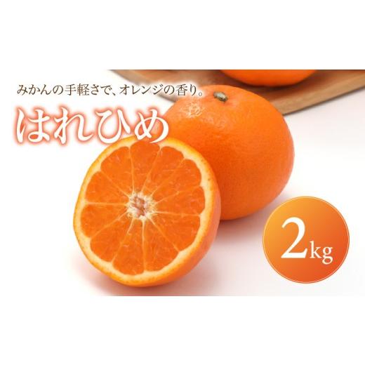 ふるさと納税 果物類 みかん 愛媛県 松山市 はれひめ 家庭用 2kg 2027年1月上旬頃から順次発送 | みかん ミカン mikan 蜜柑 訳ありフルーツ 柑橘 果物 おすす…