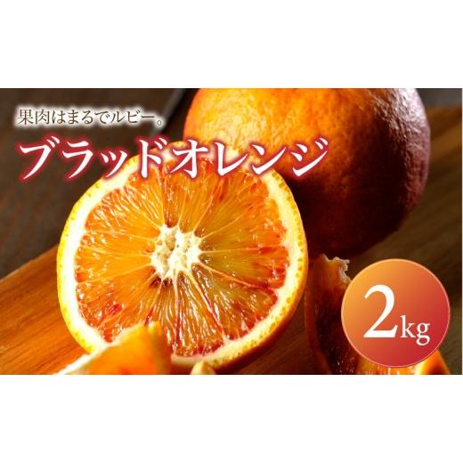ふるさと納税 果物類 みかん 愛媛県 松山市 ブラッドオレンジ 家庭用 2kg 2027年2月下旬頃から順次発送 | みかん ミカン mikan 蜜柑 訳ありフルーツ 柑橘 果物…