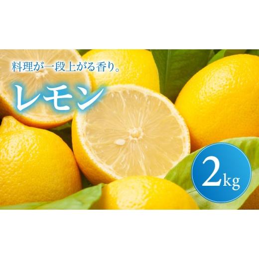 ふるさと納税 みかん・柑橘類 レモン 愛媛県 松山市 イエロー レモン 家庭用 2kg 2027年1月中旬頃から順次発送 | れもん レモン lemon 檸檬 訳あり フルーツ …