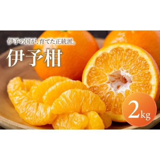 ふるさと納税 果物類 みかん 愛媛県 松山市 伊予柑 家庭用 2kg 2027年1月上旬頃から順次発送 | みかん ミカン mikan みかん 蜜柑 訳ありフルーツ 柑橘 果物 お…