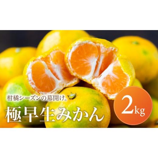 ふるさと納税 果物類 みかん 愛媛県 松山市 愛媛 極早生 みかん 家庭用 2kg 2026年10月上旬頃から順次発送 | 温州みかん ミカン ごくわせ mikan みかん 蜜柑 …