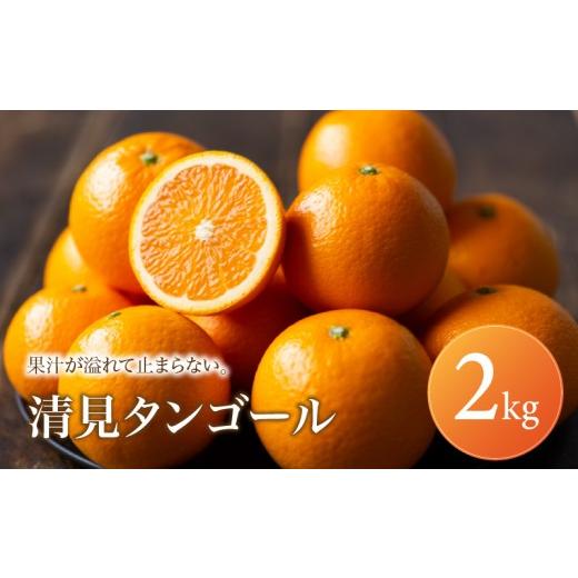 ふるさと納税 果物類 みかん 愛媛県 松山市 清見タンゴール 家庭用 2kg 2027年2月下旬頃から順次発送 | 清見 タンゴール みかん ミカン mikan 蜜柑 訳ありフル…