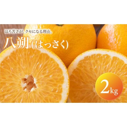 ふるさと納税 果物類 みかん 愛媛県 松山市 八朔 家庭用 2kg 2027年2月上旬頃から順次発送 | はっさく みかん ハッサク ミカン mikan hassaku 蜜柑 訳ありフル…