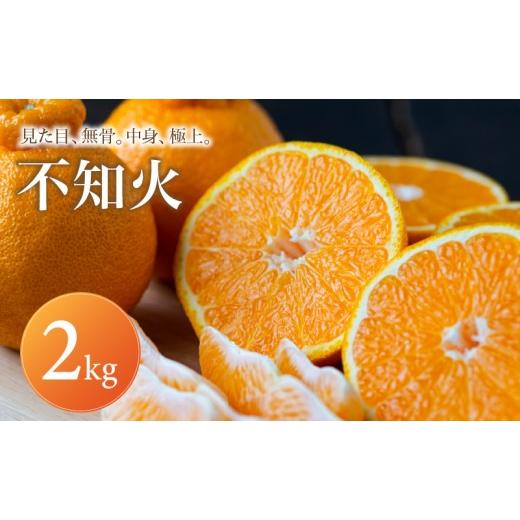 ふるさと納税 みかん・柑橘類 デコポン 愛媛県 松山市 不知火 (デコポン と同品種) 家庭用 2kg 2027年1月下旬頃から順次発送 | でこぽん しらぬい shiranui み…