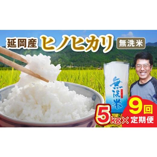 ふるさと納税 米 ヒノヒカリ 宮崎県 延岡市 延岡産ヒノヒカリ(無洗米)5kg 9ヶ月定期便 N0218-YH072 9ヶ月定期便