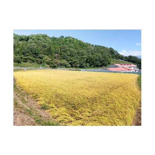 ふるさと納税 米 コシヒカリ 長野県 高森町 令和8年産 南信州高森町産 コシヒカリ 精米5kg