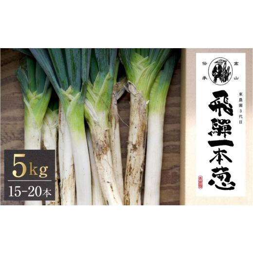ふるさと納税 肉 岐阜県 高山市 先行予約 飛騨一本葱 プレミアム5キロ(15本‐20本) [2026年 先行予約 数量限定 11月中旬〜12月中旬より順次発送] 東農園…