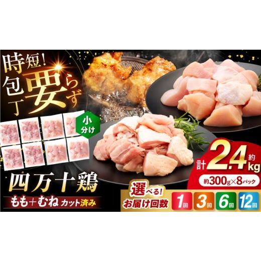 ふるさと納税 鶏肉 モモ 高知県 高知市 チョイス限定 3回定期便 四万十鶏「もも肉」「むね肉」 切身 計約2.4kg (約300g×8パック) カットでかんたん 時短セ…