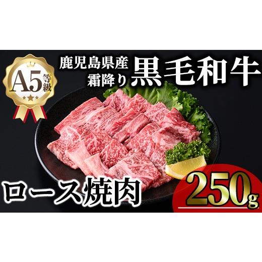 ふるさと納税 牛肉 ロース 鹿児島県 曽於市 鹿児島県産A5等級黒毛和牛霜降りロース焼肉 (計250g・250g×1P) 牛肉 鹿児島県産 牛 黒毛和牛 ロース 焼肉 ロース…