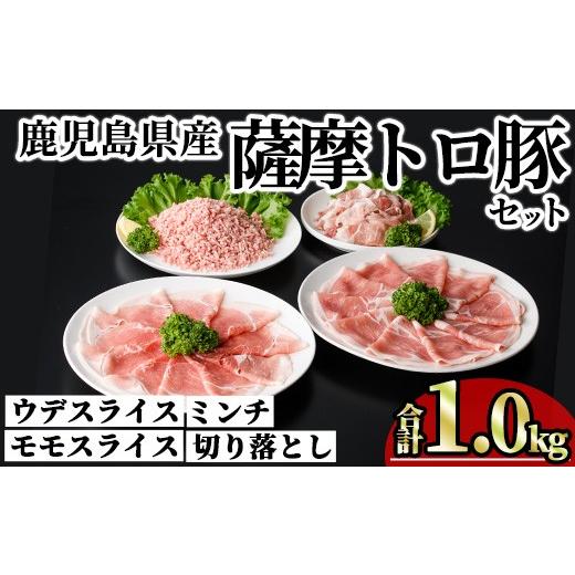 ふるさと納税 豚肉 モモ 鹿児島県 曽於市 鹿児島県産薩摩トロ豚モリモリおためしパック (合計1kg) 小分け 冷凍 スライス ひき肉 ミンチ モモ ウデ 切り落とし …