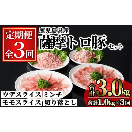 ふるさと納税 豚肉 モモ 鹿児島県 曽於市 定期便・全3回 鹿児島県産薩摩トロ豚モリモリおためしパック(合計3kg・1kg×3回) 小分け 冷凍 スライス ひき肉 ミン…