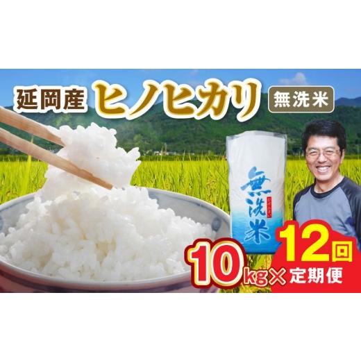 ふるさと納税 米 ヒノヒカリ 宮崎県 延岡市 延岡産ヒノヒカリ(無洗米)10kg 12ヶ月定期便 N0218-YK008 12ヶ月定期便