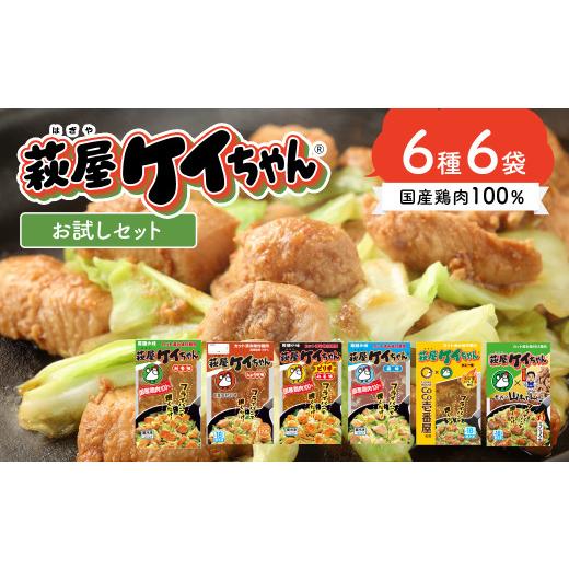ふるさと納税 鶏肉 岐阜県 下呂市 萩屋ケイちゃん 6種類お試しセット(各230g×1)計6パック 冷凍配送 みそ味・しょうゆ味・しお味・ピリ辛みそ味・カレー味…