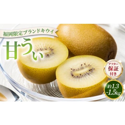 ふるさと納税 果物類 福岡県 那珂川市 寄附額改定↓ 先行予約 希少 キウイ 甘うぃ 約1.3〜1.5kg(2026年11月以降発送)|果物 旬 国産 産地直送 キウイ キウイ…