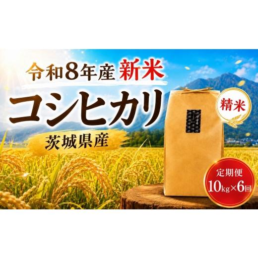 ふるさと納税 米 コシヒカリ 茨城県 筑西市 新米 コシヒカリ 精米 10kg 定期便 6回 先行予約 令和8年産 米 お米 数量限定 ご飯 ごはん コメ 白米 ライス こし…