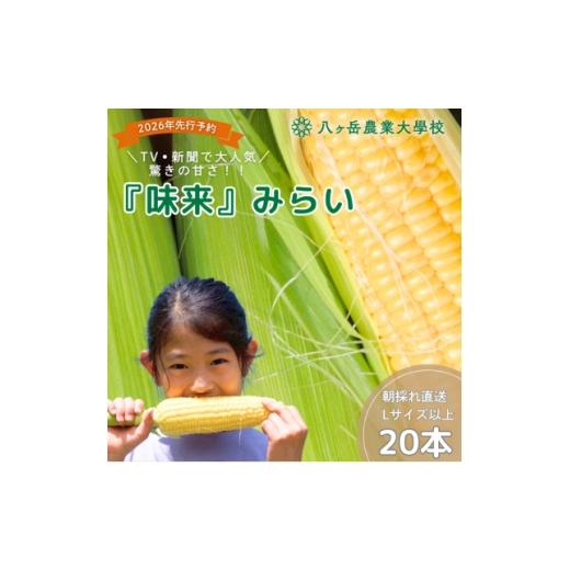 ふるさと納税 とうもろこし 長野県 茅野市 2026年先行予約 朝採れ直送 フルーツのような甘さ『皮付き』生とうもろこし20本 1748490