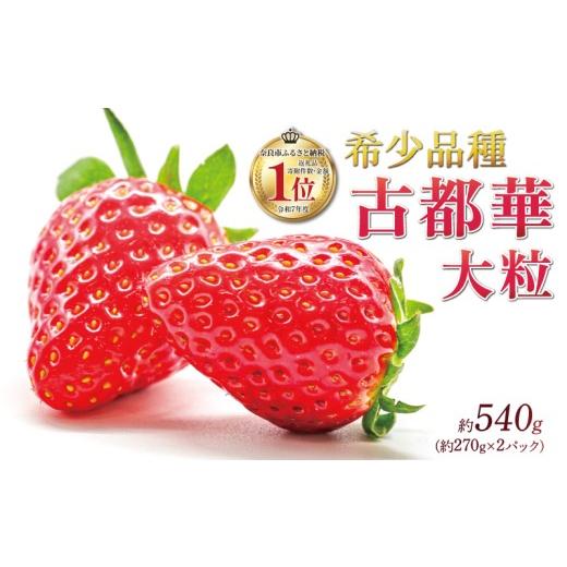 ふるさと納税 いちご 奈良県 奈良市 いちご ことか 約270g×2パック 先行予約 2027年発送 古都華 大粒 数量限定 産地直送 春 旬 国産 冷蔵 イチゴ 苺 itigo ic…