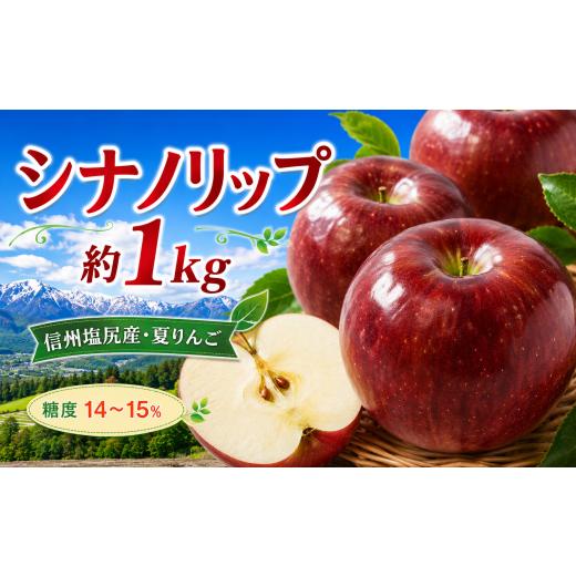 ふるさと納税 りんご 長野県 塩尻市 2026年先行予約 信州塩尻産 シナノリップ 約1kg | 先行受付 果物 くだもの フルーツ シナノリップ りんご 林檎 信州 長野…