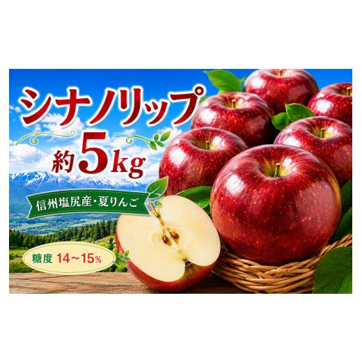 ふるさと納税 りんご 長野県 塩尻市 2026年先行予約 信州塩尻産 シナノリップ 約5kg | 先行受付 果物 くだもの フルーツ シナノリップ りんご 林檎 信州 長野…