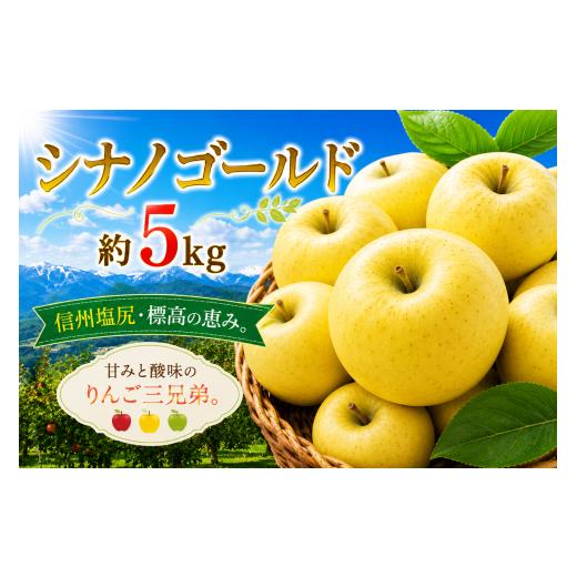 ふるさと納税 りんご 長野県 塩尻市 2026年先行予約 信州塩尻産 シナノゴールド 約5kg | 先行受付 果物 くだもの フルーツ シナノゴールド りんご 林檎 りん…