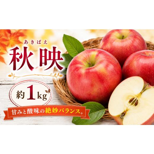 ふるさと納税 りんご 長野県 塩尻市 2026年先行予約 信州塩尻産 秋映 約1kg | 先行受付 果物 くだもの フルーツ 秋映 あきばえ りんご 林檎 りんご3兄弟 信州…