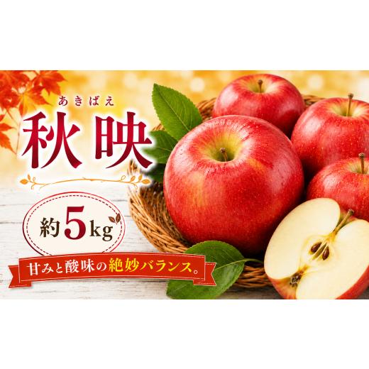 ふるさと納税 りんご 長野県 塩尻市 2026年先行予約 信州塩尻産 秋映 約5kg | 先行受付 果物 くだもの フルーツ 秋映 あきばえ りんご りんご3兄弟 林檎 信州…