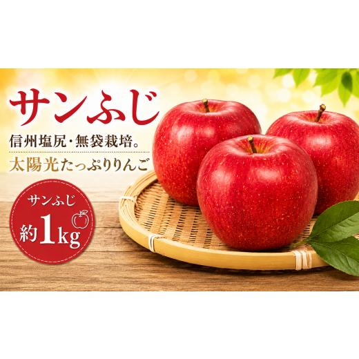 ふるさと納税 りんご 長野県 塩尻市 2026年先行予約 信州塩尻産 サンふじ 約1kg | 先行受付 果物 くだもの フルーツ サンふじ りんご 赤 林檎 信州 長野県 …