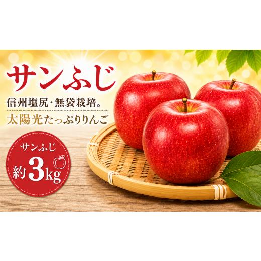 ふるさと納税 りんご 長野県 塩尻市 2026年先行予約 信州塩尻産 サンふじ 約3kg | 先行受付 果物 くだもの フルーツ サンふじ りんご 赤 林檎 信州 長野県 …