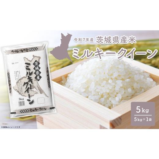ふるさと納税 米 ミルキークイーン 茨城県 境町 ミルキークイーン 5kg[令和8年7月内-8月上旬発送] 茨城県産 少量 人気 米 令和7年産/白米 K2660 5kg 令和8…