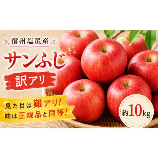 ふるさと納税 りんご 長野県 塩尻市 2026年先行予約 信州塩尻産 サンふじ 訳アリ 約10kg | 先行受付 果物 くだもの フルーツ サンふじ りんご 赤 林檎 訳ア…