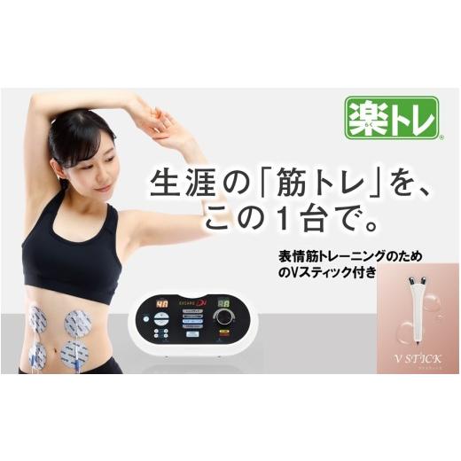ふるさと納税 美容・健康家電 大分県 国東市 お腹から表情筋までトレーニング 楽トレセット 複合高周波EMS Di(ディーアイ)&V STICK(ブイスティック)_216…