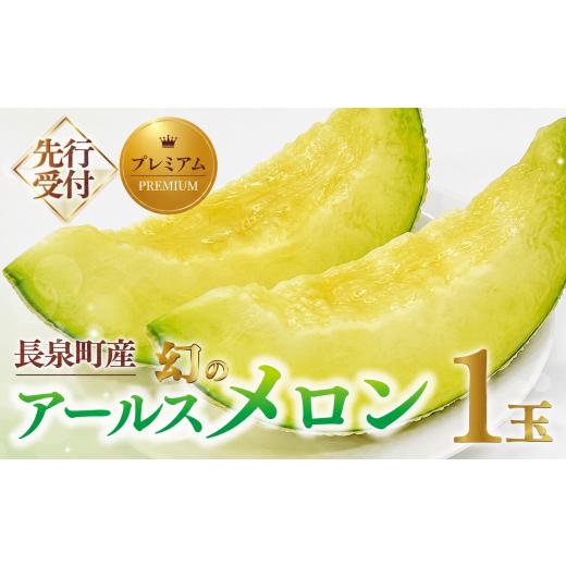 ふるさと納税 メロン メロン青肉 静岡県 長泉町 2026年 先行予約 アールスメロン 1玉 1.6kg以上 メロン 数量限定 2026年発送 長泉 メロン プレミアム フルー…