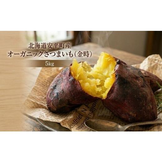 ふるさと納税 野菜類 サツマイモ 北海道 安平町 先行予約 オーガニック さつまいも 金時 5kg サツマイモ いも イモ 芋 有機栽培 有機野菜 化学農薬不使用 化…