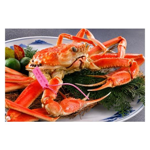 ふるさと納税 カニ 松葉ガニ 京都府 京丹後市 山陰日本海産 釜茹で松葉ガニ(冷凍) 2杯 各500〜600g お試し・少量贅沢|北畿水産 カニ 蟹 松葉蟹 松葉ガニ …