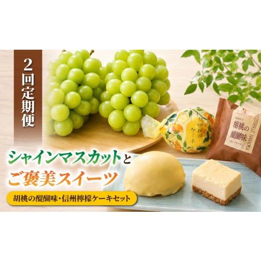 ふるさと納税 ぶどう マスカット 長野県 東御市 2回定期便 高評価 シャインマスカットとご褒美スイーツ定期便(シャインマスカット 2房/信州檸檬ケーキと胡…