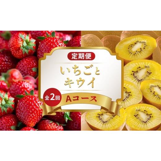 ふるさと納税 果物類 香川県 丸亀市 旬のフルーツ 定期便 2回 Aコース 果物 フルーツ いちご 苺 さぬきひめ キウイ さぬきゴールドキウイ キウイ デザート ス…