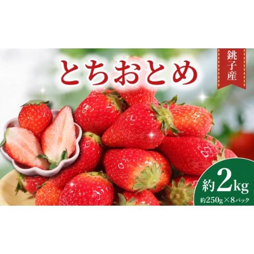 ふるさと納税 いちご 千葉県 銚子市 いちご とちおとめ 先行予約 約 2kg (250g × 8パック) 苺 産地直送 産直 フルーツ 果物 くだもの ギフト プレゼント 贈り…