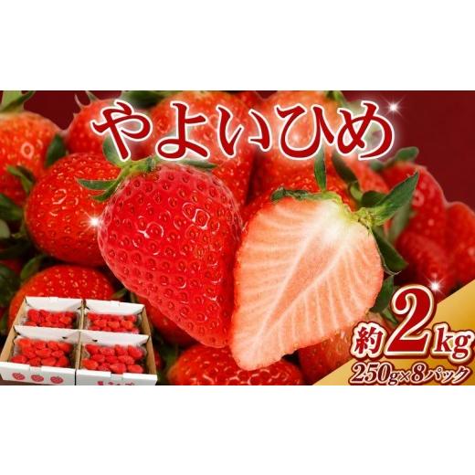 ふるさと納税 いちご 千葉県 銚子市 いちご やよいひめ 先行予約 約 2kg (250g × 8パック) 苺 産地直送 産直 フルーツ 果物 くだもの ギフト プレゼント 贈り…
