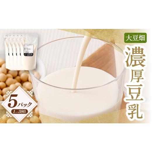 ふるさと納税 加工品等 鹿児島県 薩摩川内市 大豆畑 濃厚豆乳 380g×5P 豆乳