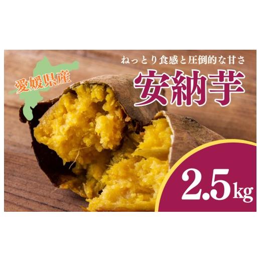 ふるさと納税 野菜類 サツマイモ 愛媛県 四国中央市 『えがお畑』で採れた安納芋 2.5kg 安納芋2.5kg