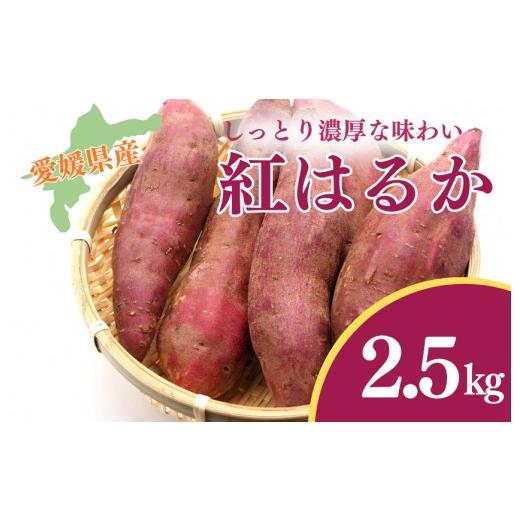 ふるさと納税 野菜類 サツマイモ 愛媛県 四国中央市 『えがお畑』で採れた紅はるか 2.5kg 2.5kg
