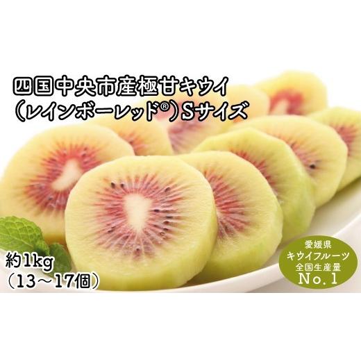 ふるさと納税 果物類 愛媛県 四国中央市 ぽぽ農園 レインボーレッドキウイ(四国中央市産レインボーレッド) S サイズ 約1kg(13個〜17個) S サイズ 約1kg