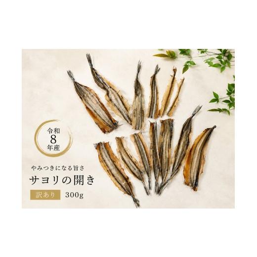 ふるさと納税 干物 山口県 平生町 令和8年産 訳あり やみつき サヨリ の 干物 ( 300 g ) | 訳アリ 海の幸 海産物 乾物 細魚 魚 つまみ 晩酌 産地直送 珍味…