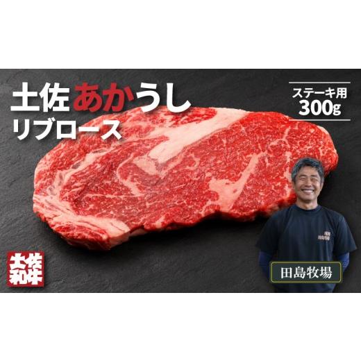 ふるさと納税 牛肉 ロース 高知県 南国市 土佐 あかうし 赤牛 赤身 リブロース ステーキ用 300g | 和牛 あか牛 アカウシ 牛肉 希少 ブランド 国産 プレゼント …