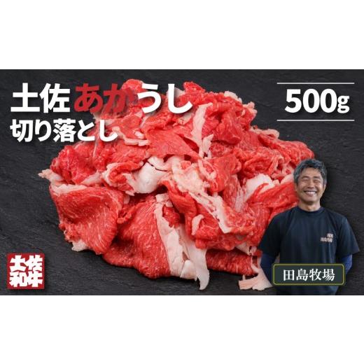 ふるさと納税 牛肉 高知県 南国市 土佐 あかうし 赤牛 赤身 切り落とし 500g | 和牛 あか牛 アカウシ 牛肉 希少 ブランド 国産 プレゼント ギフト 冷凍 贈答 …