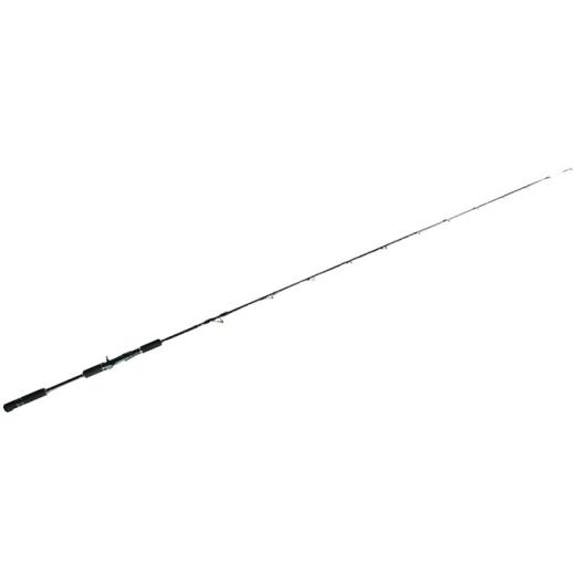 ふるさと納税 スポーツ・アウトドア 神奈川県 茅ヶ崎市 剛樹 LTバイト (LTB205)205cm ウェイト負荷15-80号 5:5胴調子 釣り 釣具 釣竿 ロッド 釣り用品 釣り…