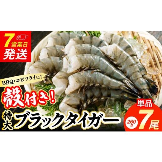 ふるさと納税 エビ・カニ等 エビ 大阪府 阪南市 特大 ブラックタイガー 無頭えび 260g前後(7尾) 入金確認後7営業日程度で発送 | 海老 えび エビ 海老フライ…