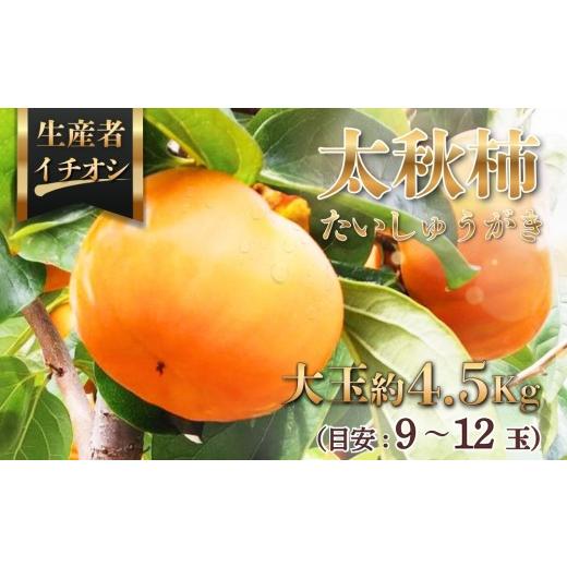 ふるさと納税 柿・栗 愛知県 春日井市 太秋柿(たいしゅうがき)約4.5kg(目安:9〜12玉) 2026年11月〜発送