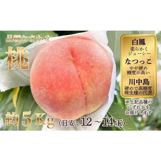 ふるさと納税 もも 愛知県 春日井市 桃(品種おまかせ:白鳳、なつっこ、川中島 のいずれか)約5kg(目安:12〜14玉) 2026年7月〜発送