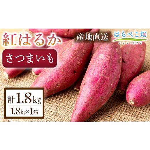 ふるさと納税 野菜類 サツマイモ 愛知県 西尾市 ねっとり甘い蜜芋 さつまいも 紅はるか(1.8kg×1箱)・H099 1箱(1.8kg)/8,000円